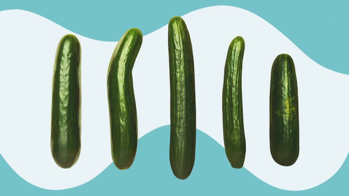 Cucumbers of different sizes
